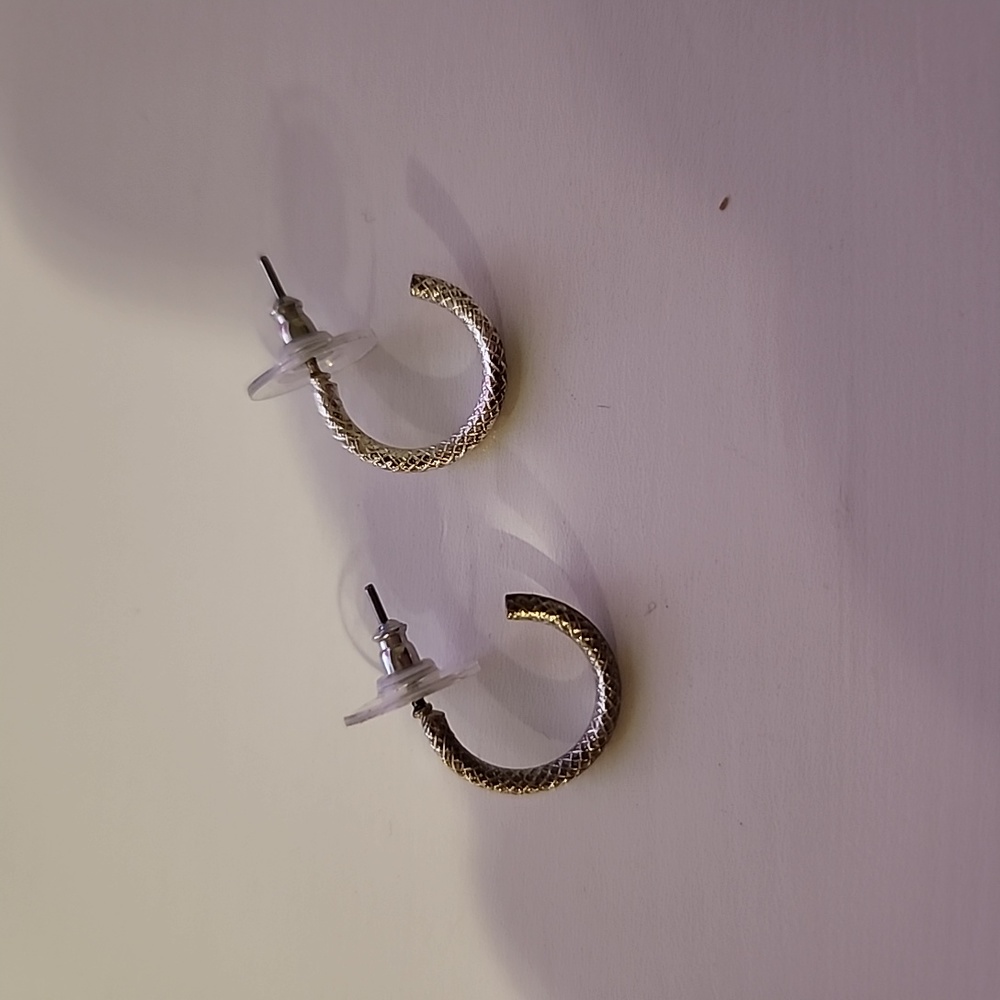 Silver colored small hoop earrrings